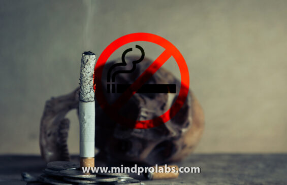Quit Smoking Now 3.0 is a powerful subliminal program that is loaded with affirmations to help you quit smoking forever effortlessly with the help of NLP (NeuroLinguistic Programming) 